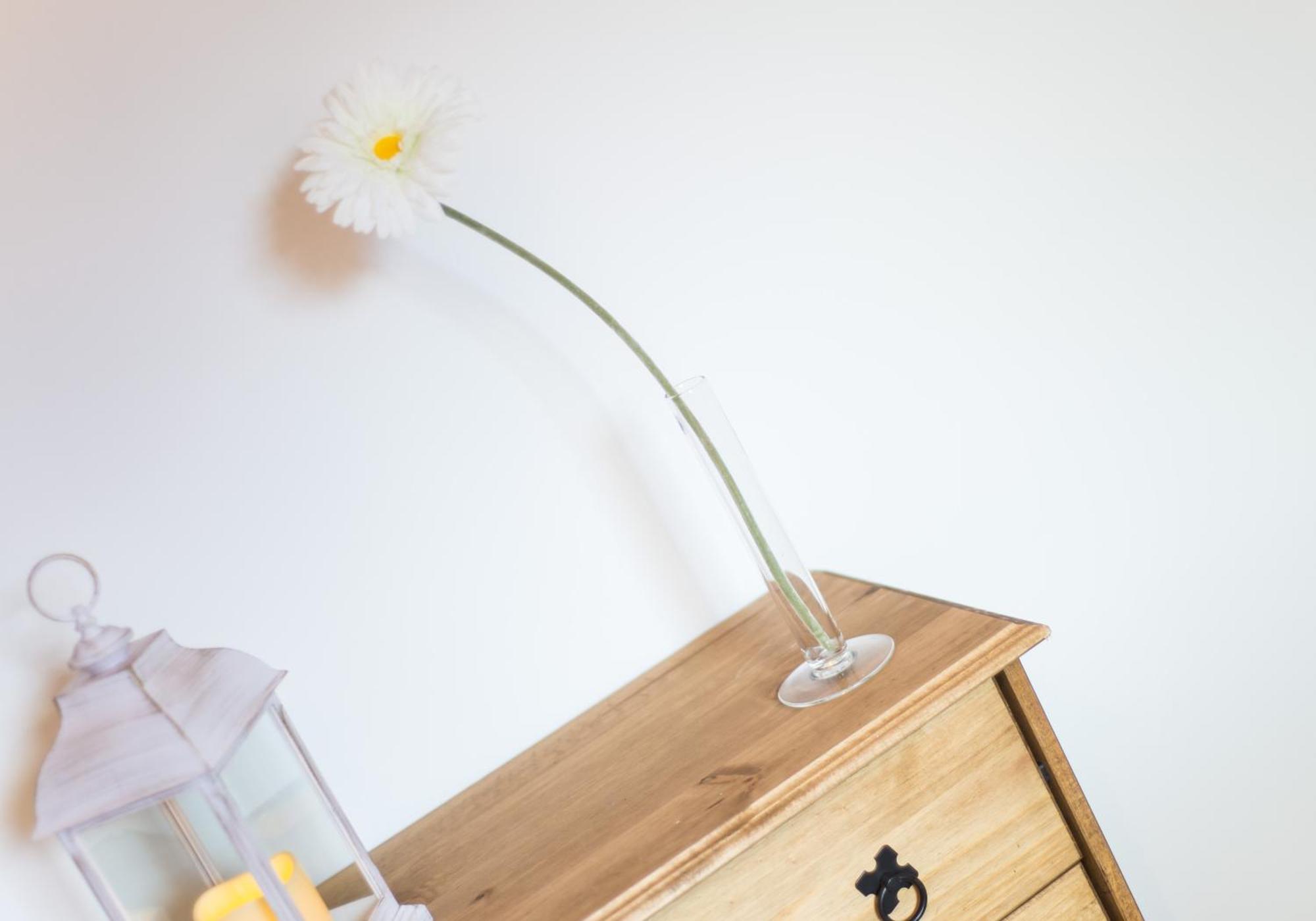 Kenmar House By Klass Living Hamilton Extérieur photo